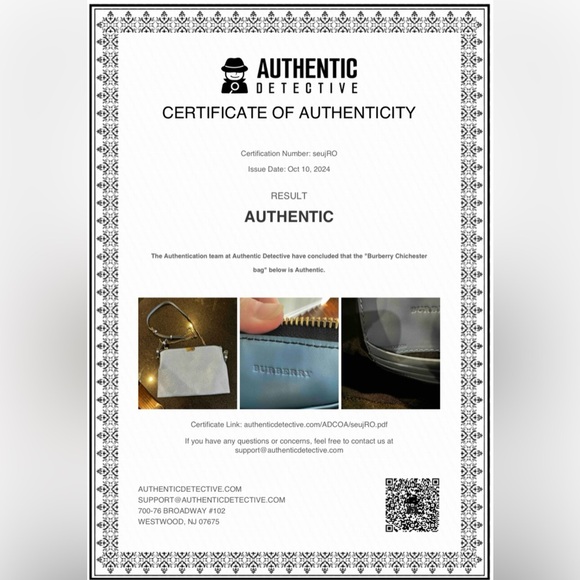 Authentic RARE Burberry Signature Grain Calfskin Peyton Crossbody Celadon Blue - Picture 11 of 13